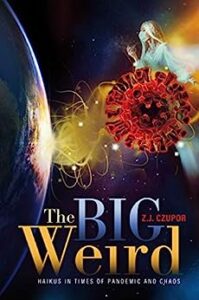 Book Cover: The Big Weird