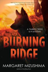 Book Cover: Burning Ridge