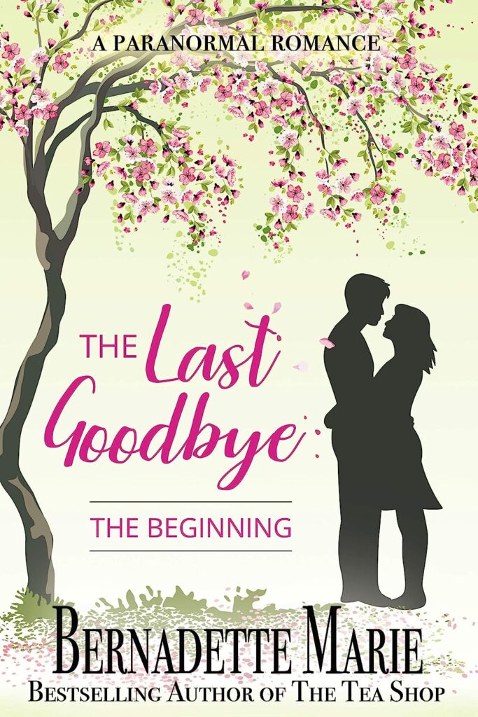 Book Cover: The Last Goodbye: The Beginning