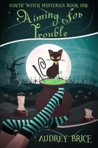 Book Cover: Aiming for Trouble