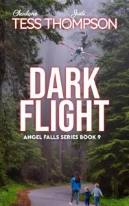 Book Cover: Dark Flight