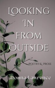 Book Cover: Looking in from Outside